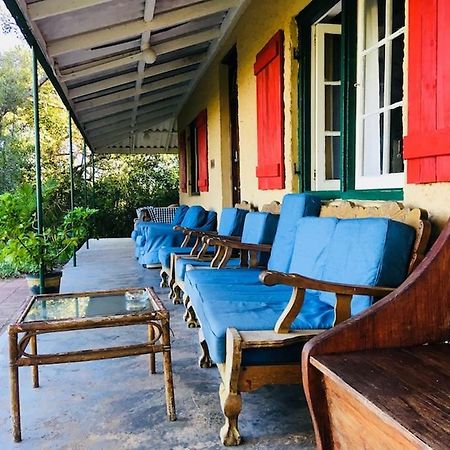 Fairy Knowe Backpackers Lodge Wildernis Esterno foto