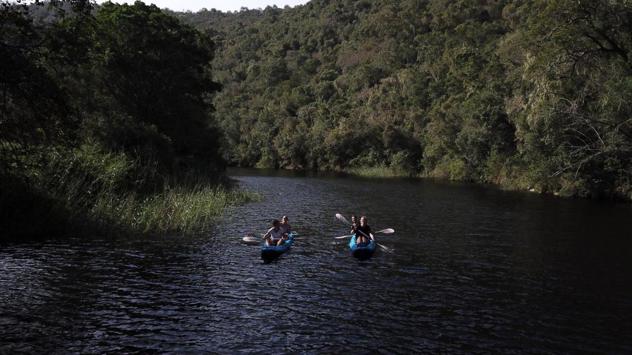 Fairy Knowe Backpackers Lodge Wildernis Esterno foto