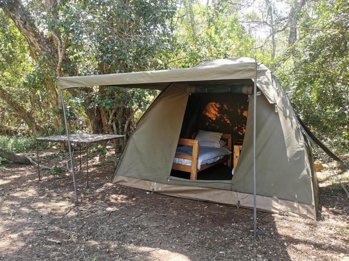 Fairy Knowe Backpackers Lodge Wildernis Esterno foto
