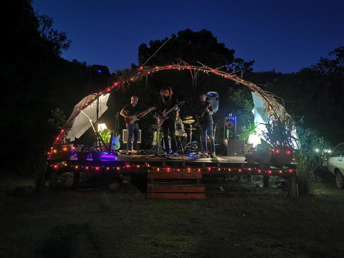 Fairy Knowe Backpackers Lodge Wildernis Esterno foto