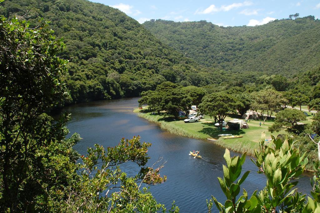 Fairy Knowe Backpackers Lodge Wildernis Esterno foto