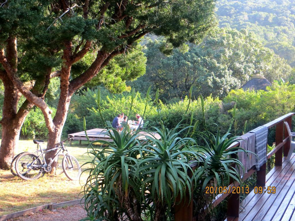 Fairy Knowe Backpackers Lodge Wildernis Esterno foto