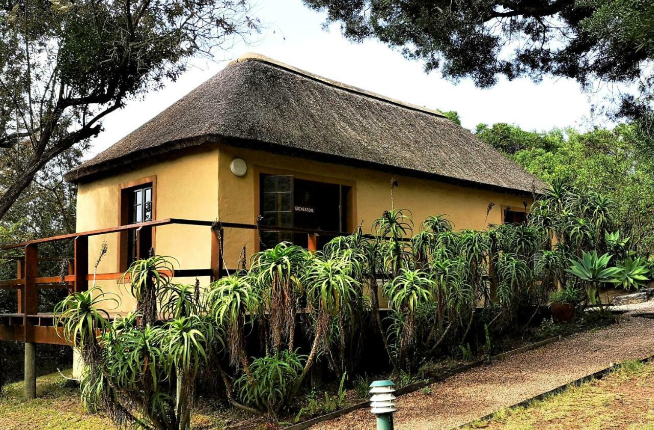 Fairy Knowe Backpackers Lodge Wildernis Esterno foto