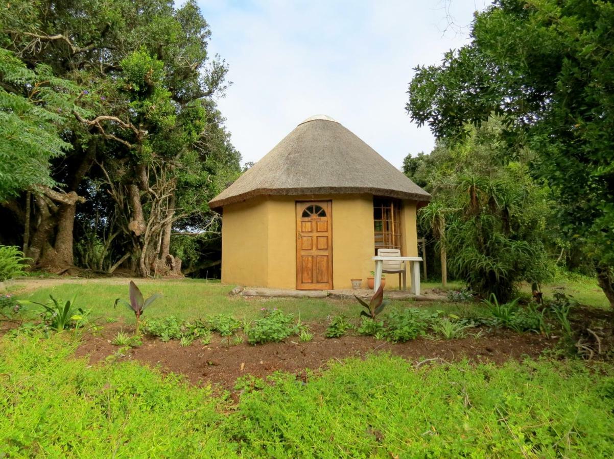 Fairy Knowe Backpackers Lodge Wildernis Esterno foto
