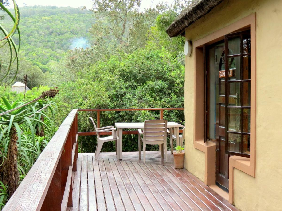 Fairy Knowe Backpackers Lodge Wildernis Esterno foto
