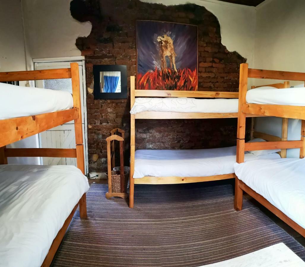Fairy Knowe Backpackers Lodge Wildernis Esterno foto