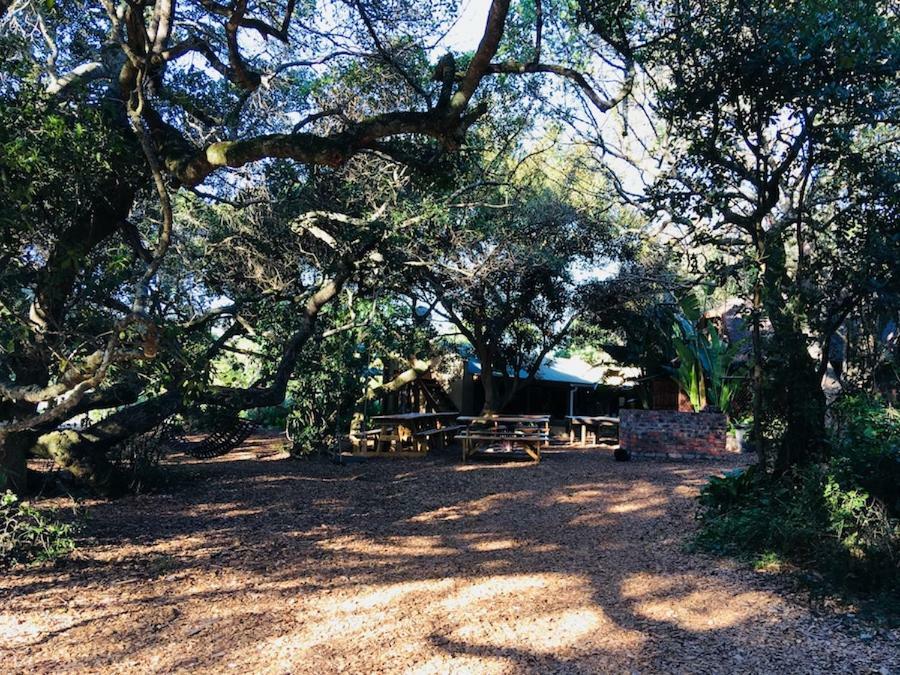Fairy Knowe Backpackers Lodge Wildernis Esterno foto