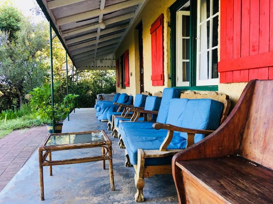 Fairy Knowe Backpackers Lodge Wildernis Esterno foto